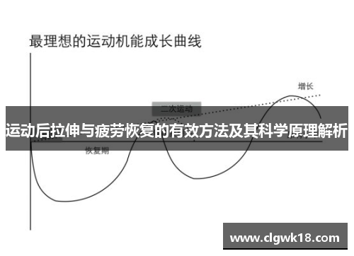 运动后拉伸与疲劳恢复的有效方法及其科学原理解析